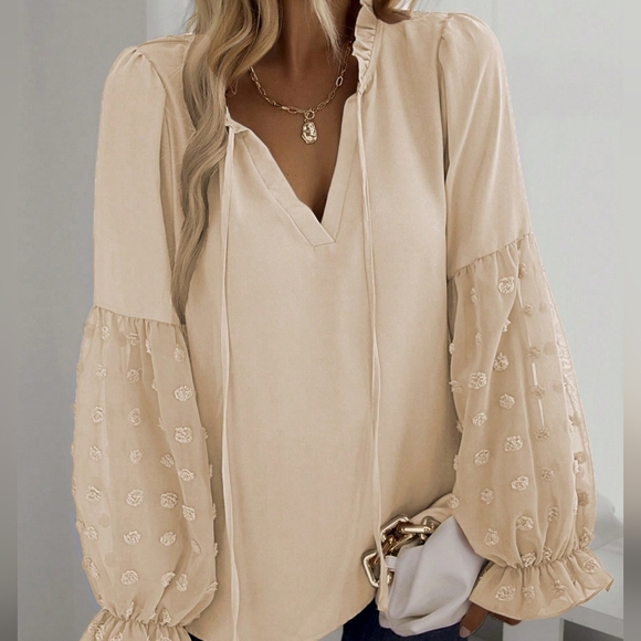 Swiss Dot Frill Trim Flare Sleeve Tie Neck Blouse - Picture 1 of 4